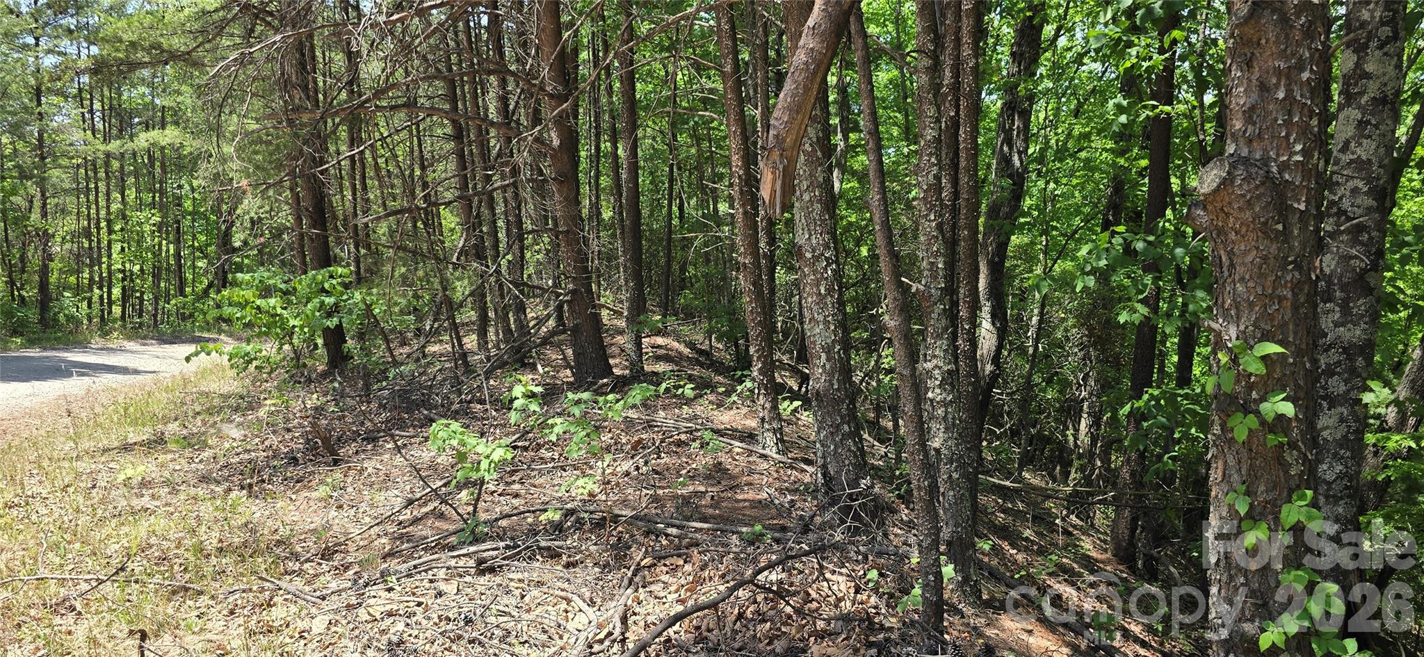 Lot 22b Pinnacle Parkway Union Mills NC 28167