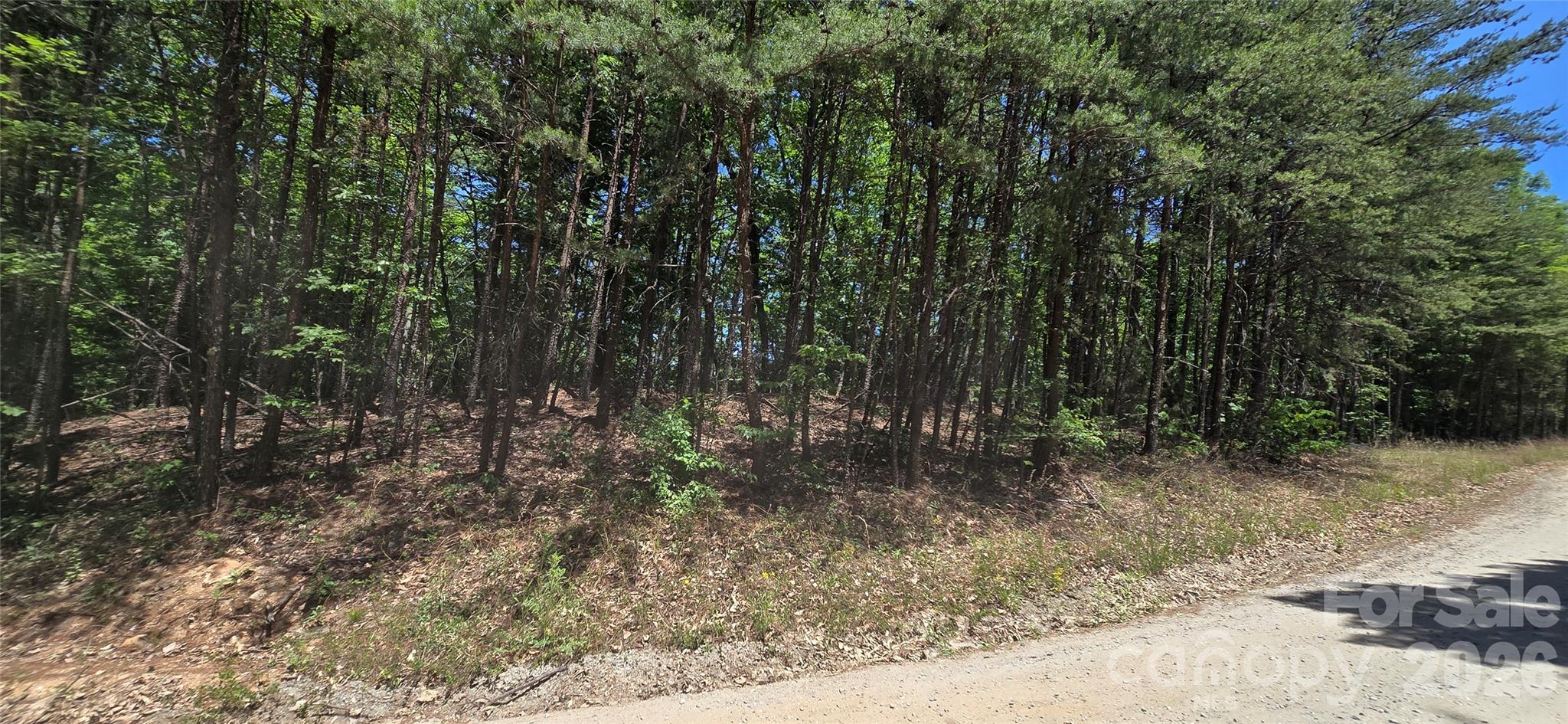 Lot 22b Pinnacle Parkway Union Mills NC 28167