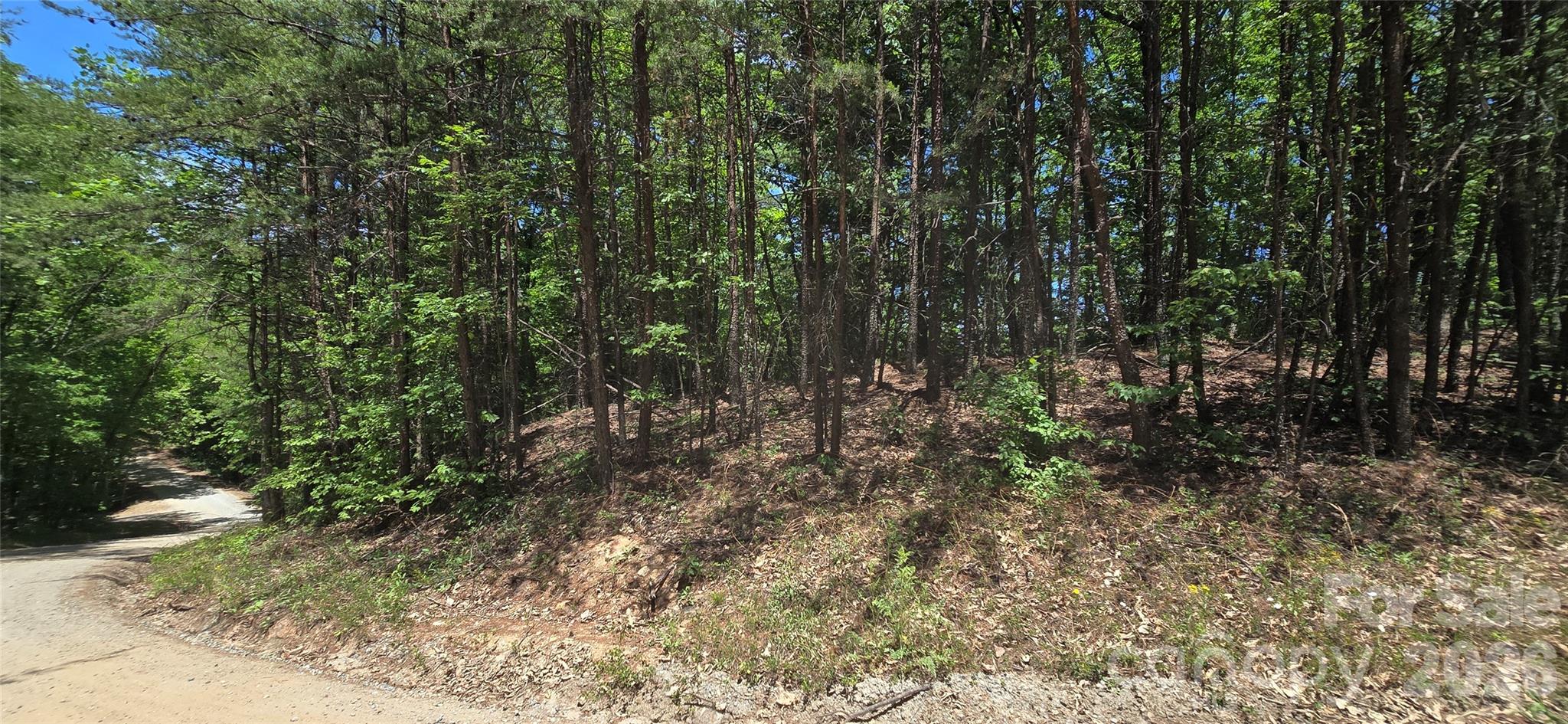 Lot 22b Pinnacle Parkway Union Mills NC 28167
