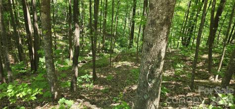 Lot 22b Pinnacle Parkway Union Mills NC 28167