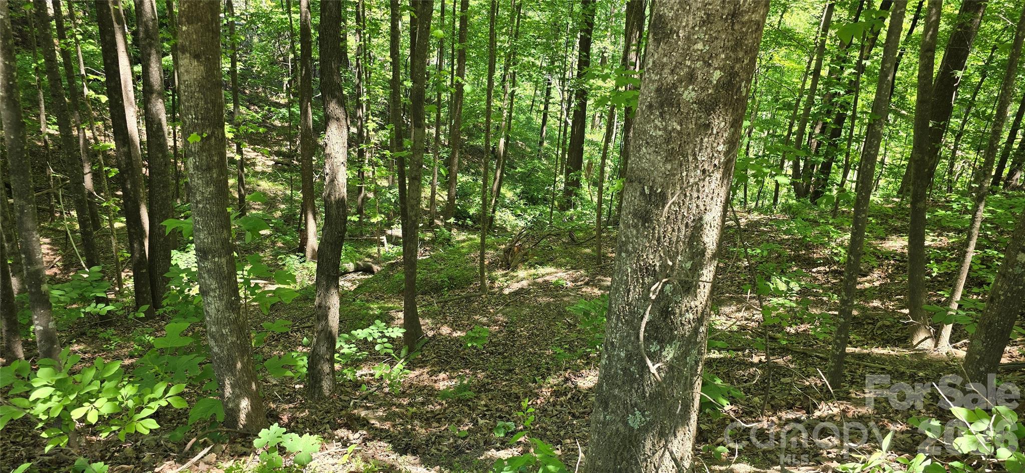 Lot 22b Pinnacle Parkway Union Mills NC 28167