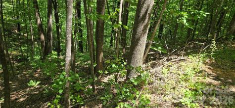 Lot 22b Pinnacle Parkway Union Mills NC 28167