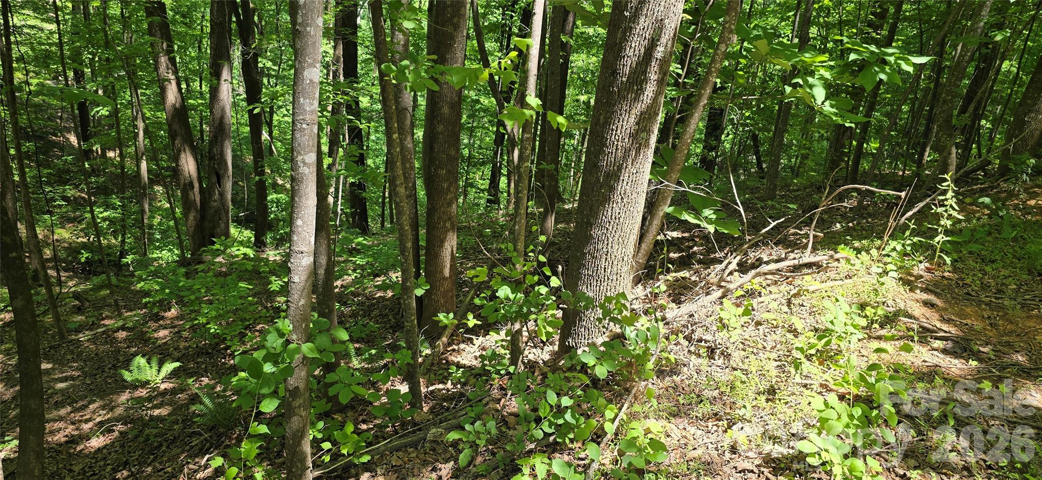 Lot 22b Pinnacle Parkway Union Mills NC 28167