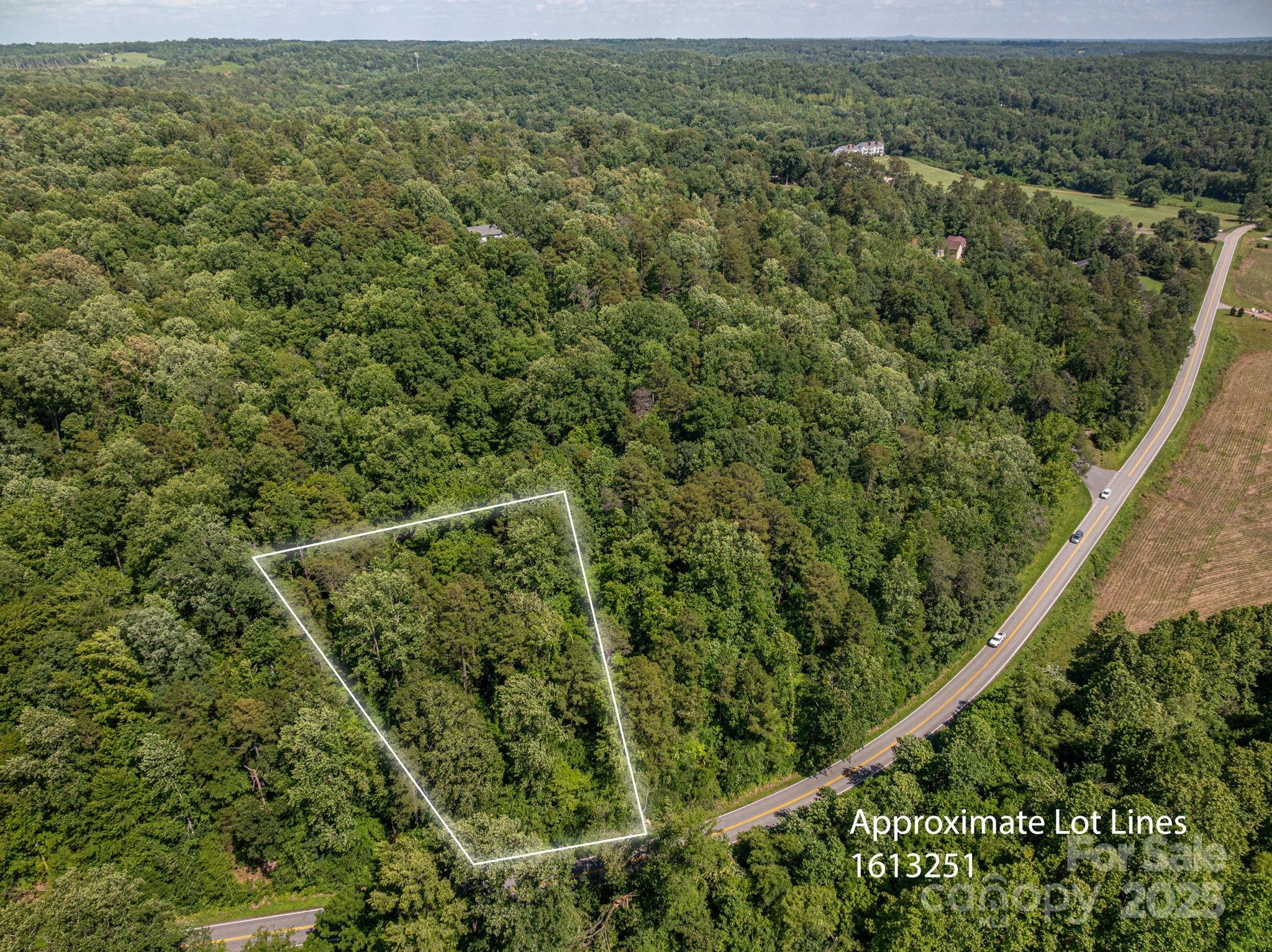 Lot 163 Coxe Road Rutherfordton NC 28139