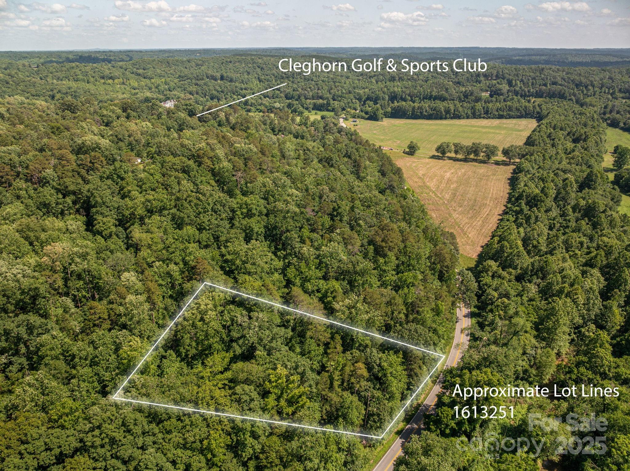 Lot 163 Coxe Road Rutherfordton NC 28139