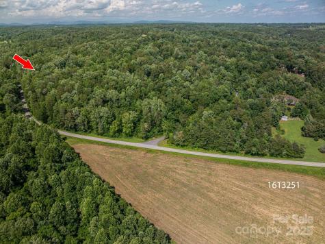 Lot 163 Coxe Road Rutherfordton NC 28139