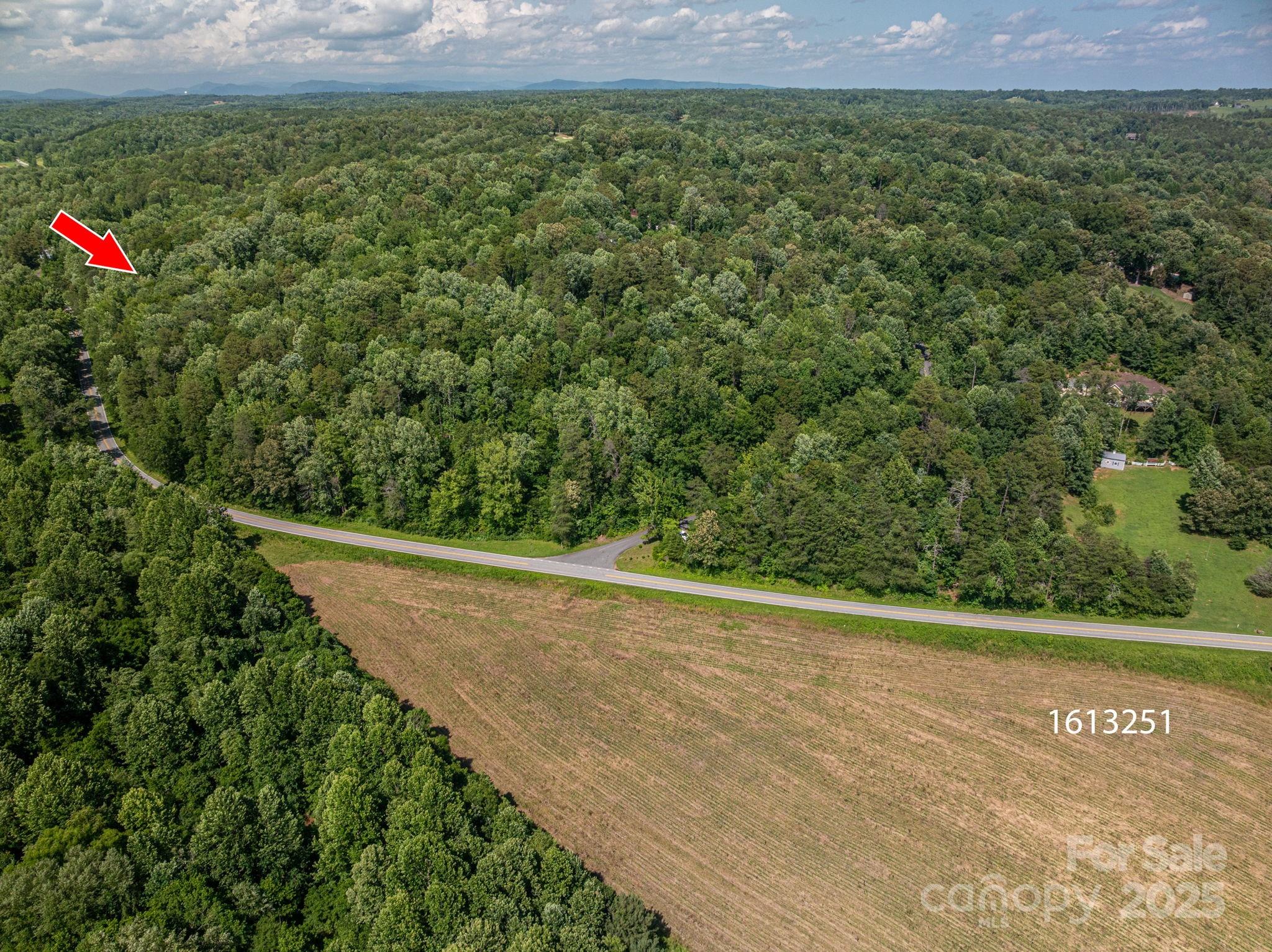 Lot 163 Coxe Road Rutherfordton NC 28139