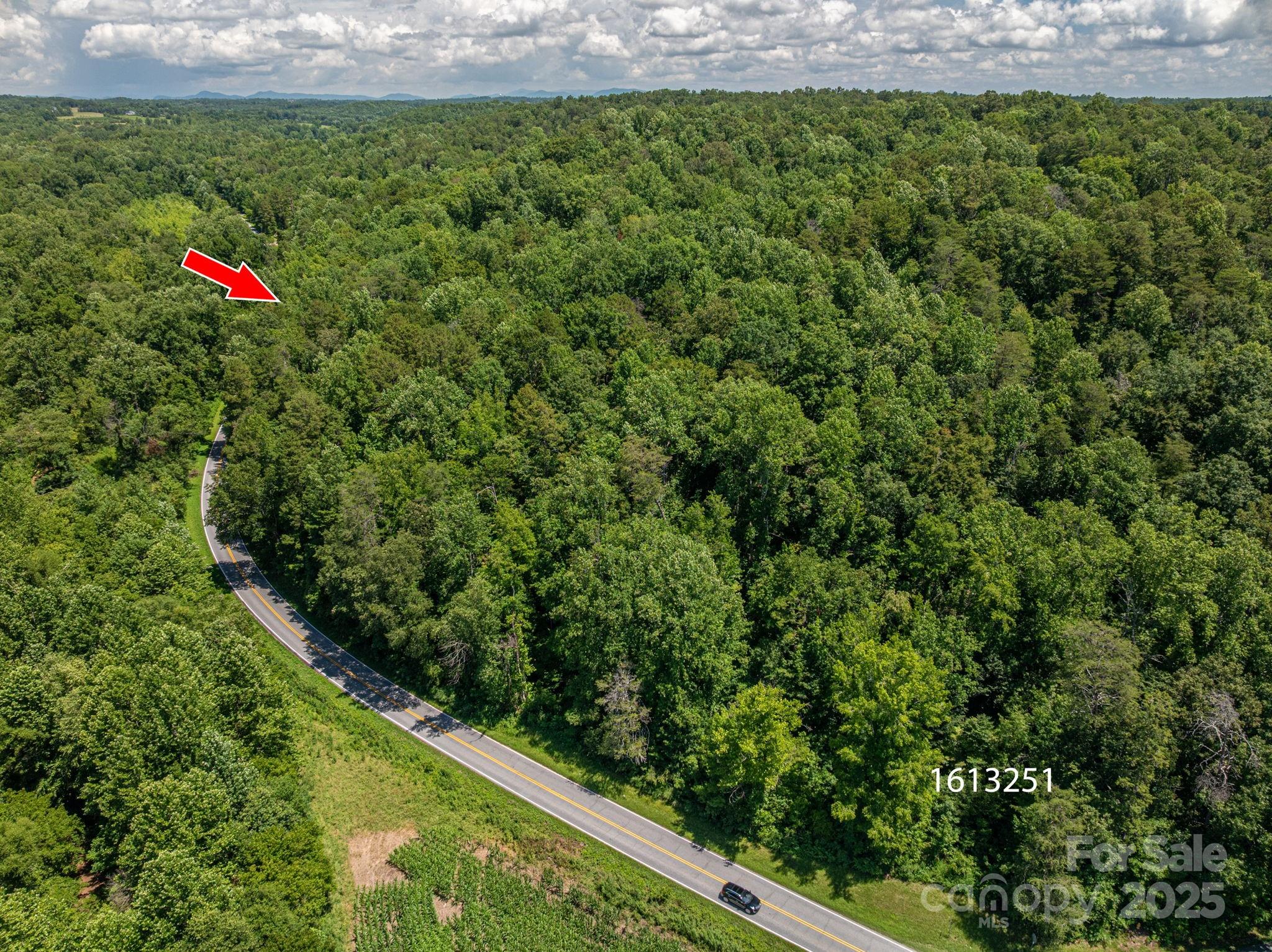 Lot 163 Coxe Road Rutherfordton NC 28139