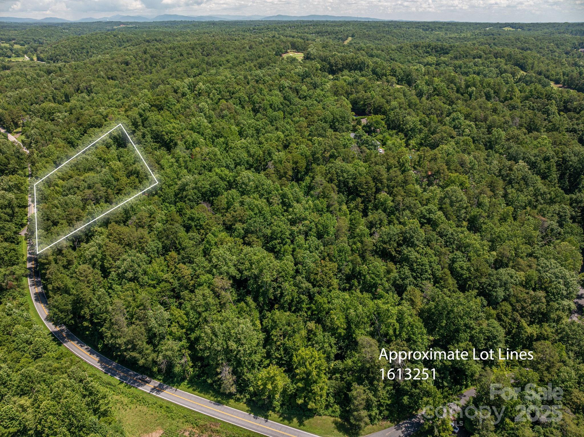 Lot 163 Coxe Road Rutherfordton NC 28139