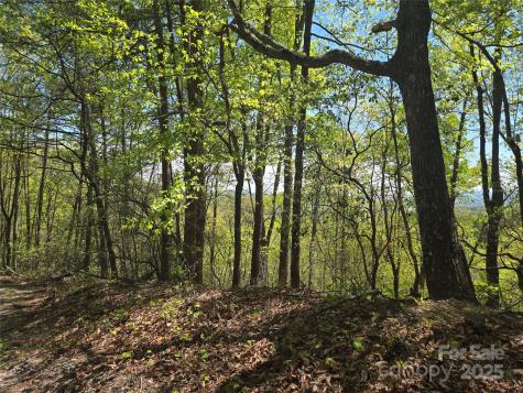 Lot 114 Summit Court Lake Lure NC 28746