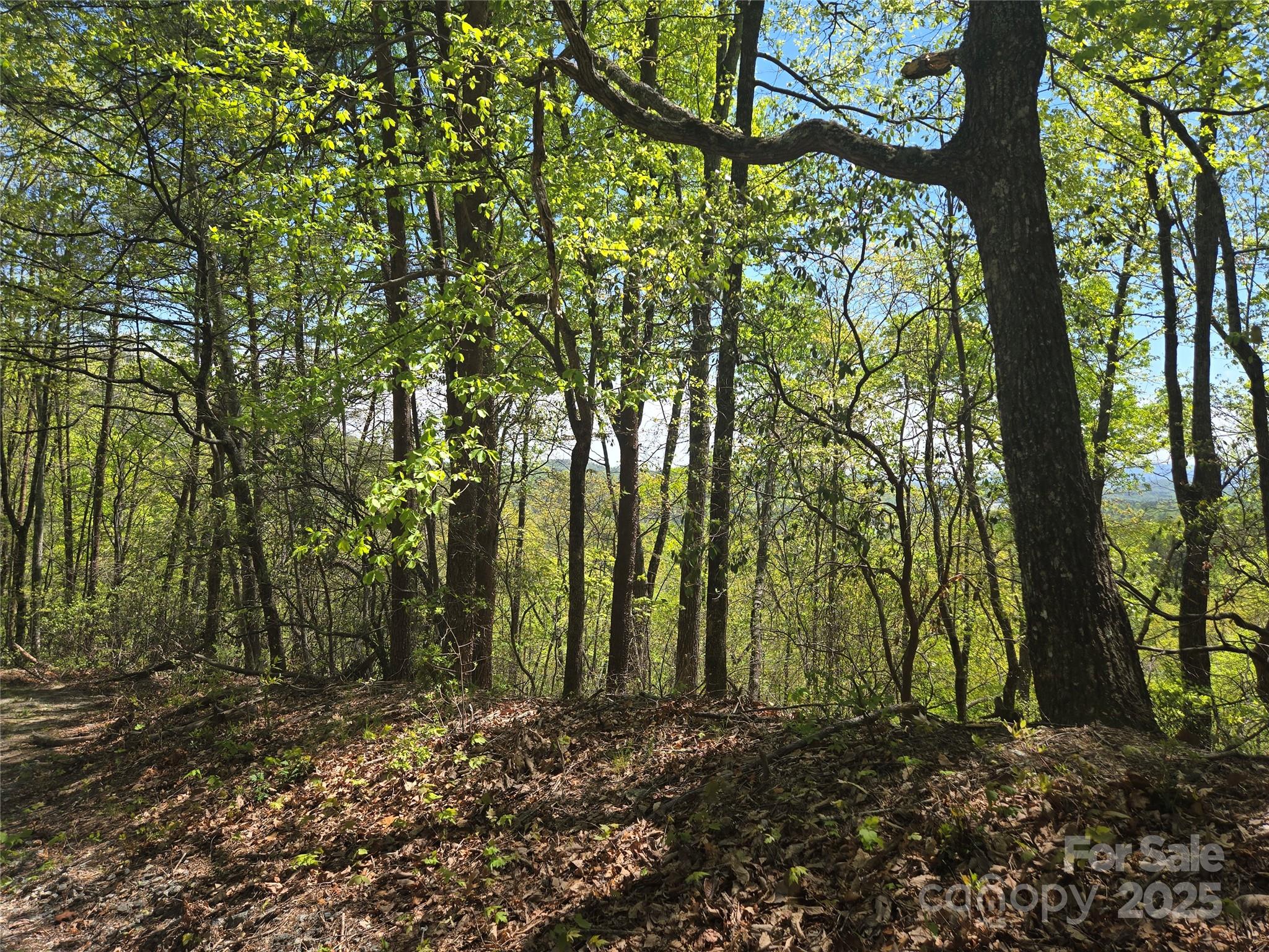 Lot 114 Summit Court Lake Lure NC 28746