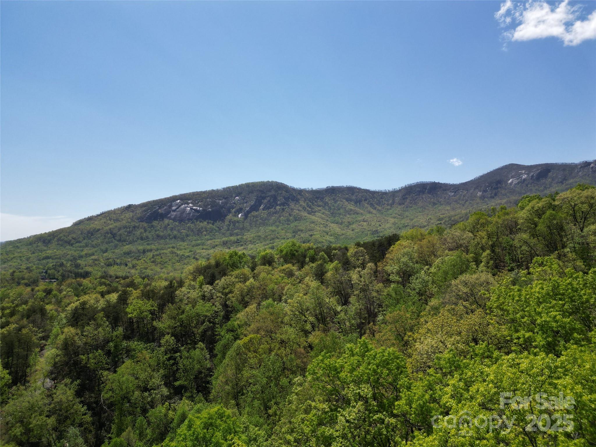 Lot 114 Summit Court Lake Lure NC 28746