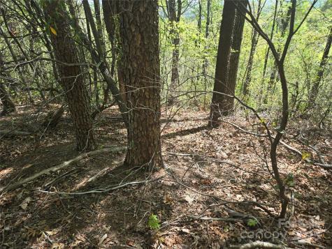 Lot 114 Summit Court Lake Lure NC 28746