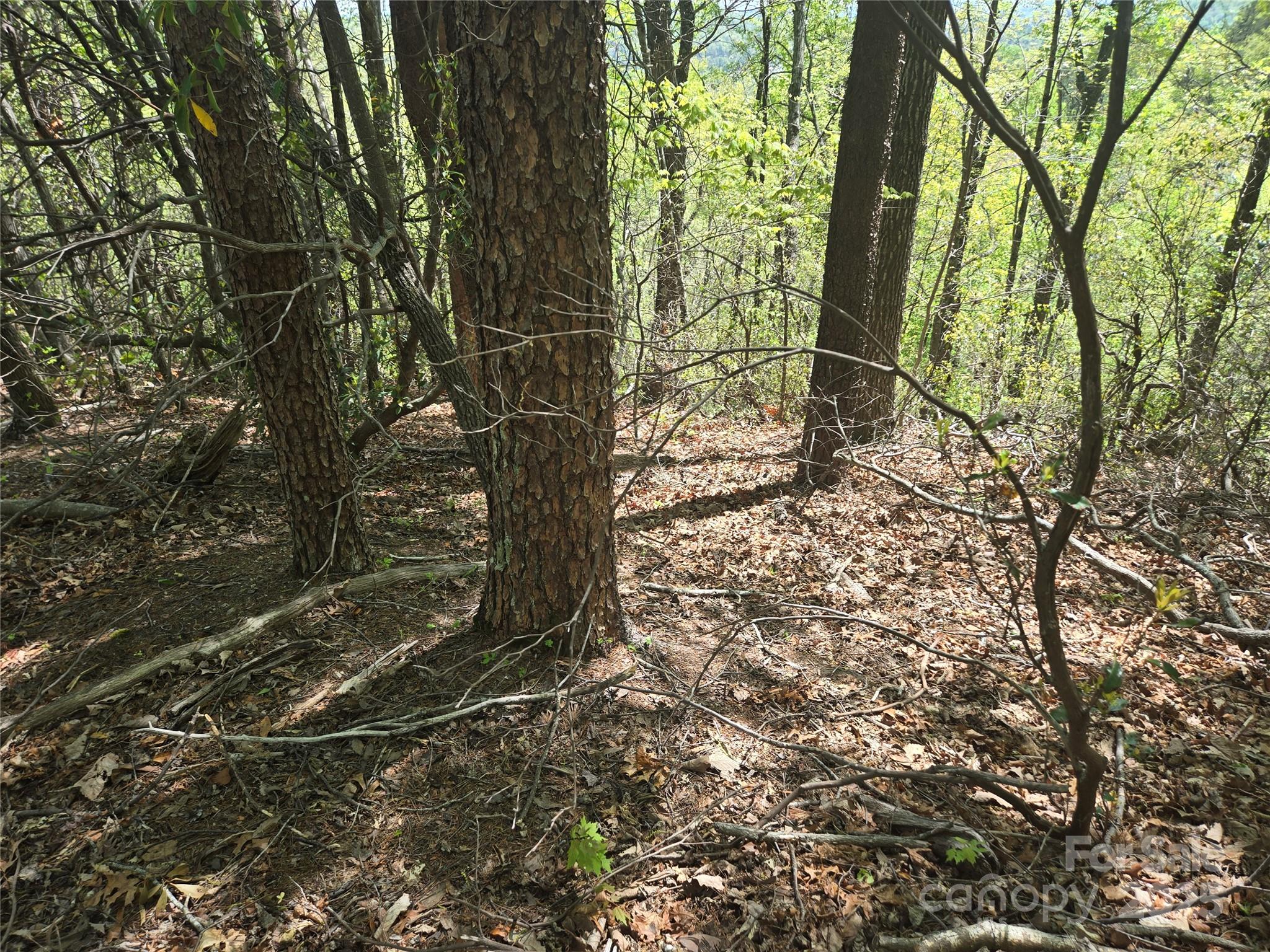 Lot 114 Summit Court Lake Lure NC 28746