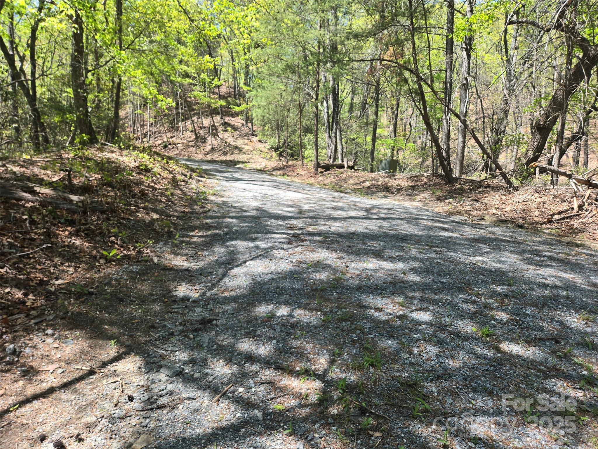 Lot 114 Summit Court Lake Lure NC 28746