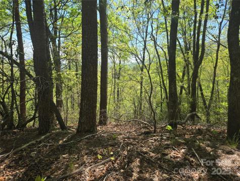 Lot 114 Summit Court Lake Lure NC 28746