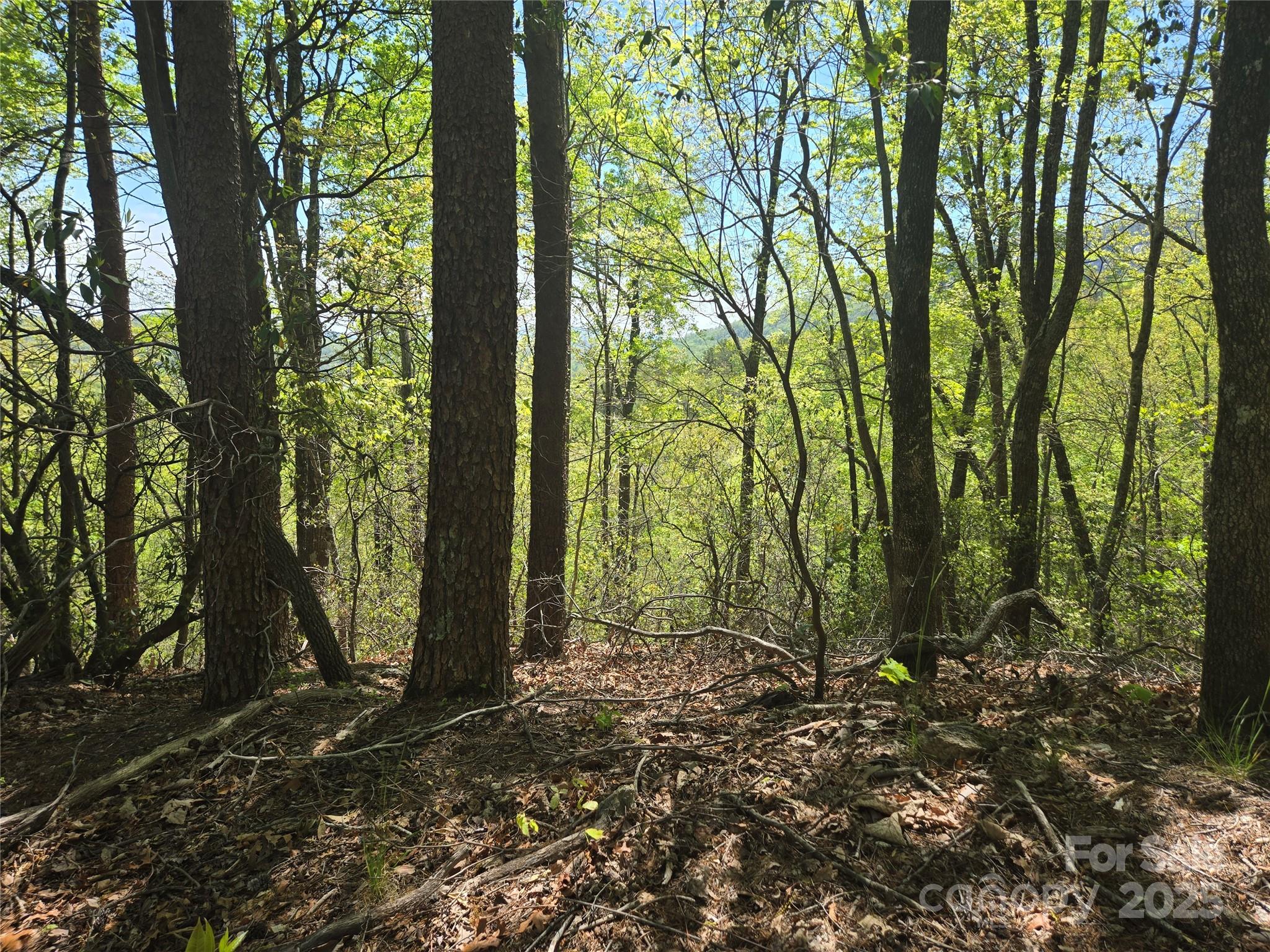 Lot 114 Summit Court Lake Lure NC 28746
