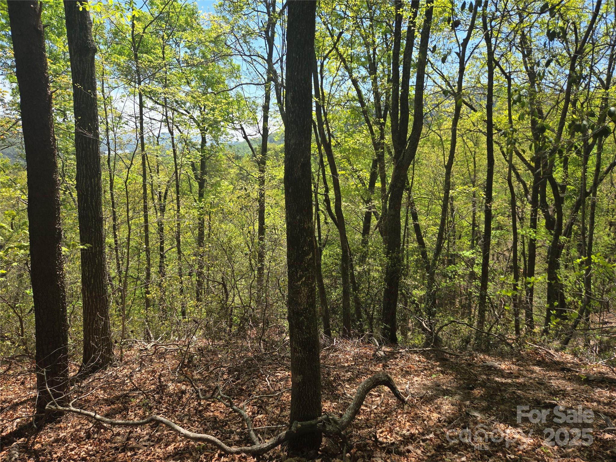 Lot 114 Summit Court Lake Lure NC 28746