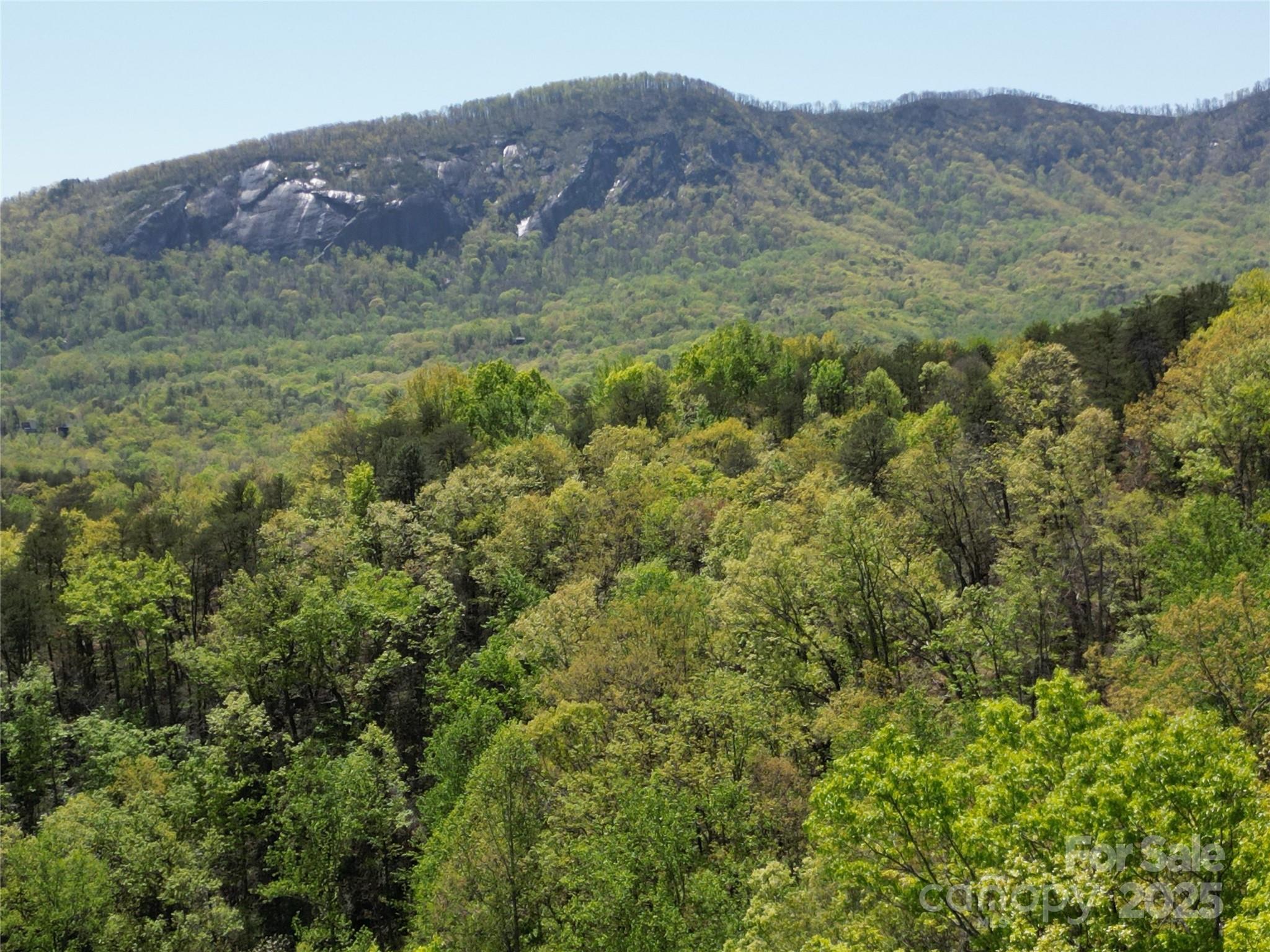 Lot 114 Summit Court Lake Lure NC 28746