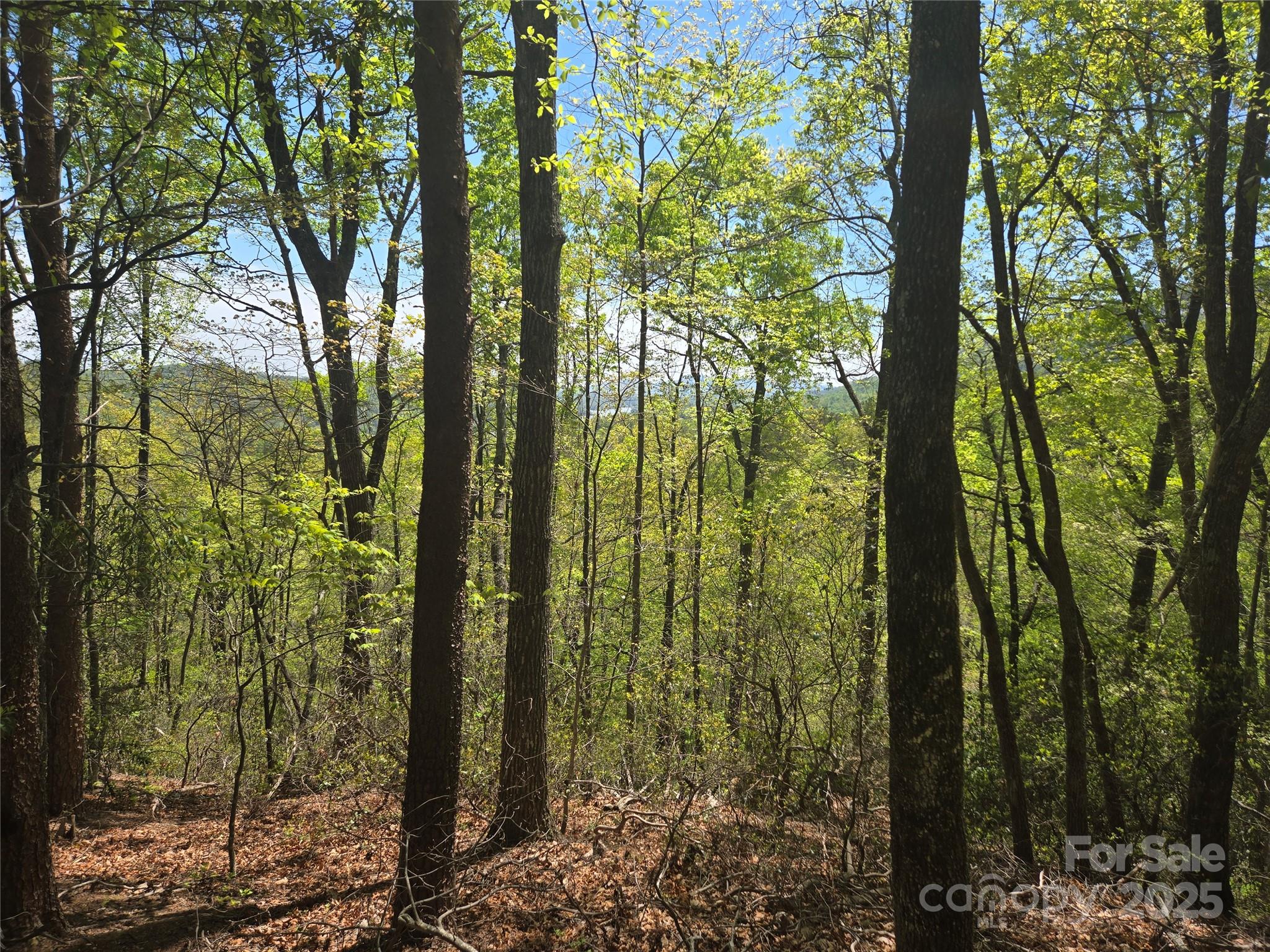 Lot 114 Summit Court Lake Lure NC 28746