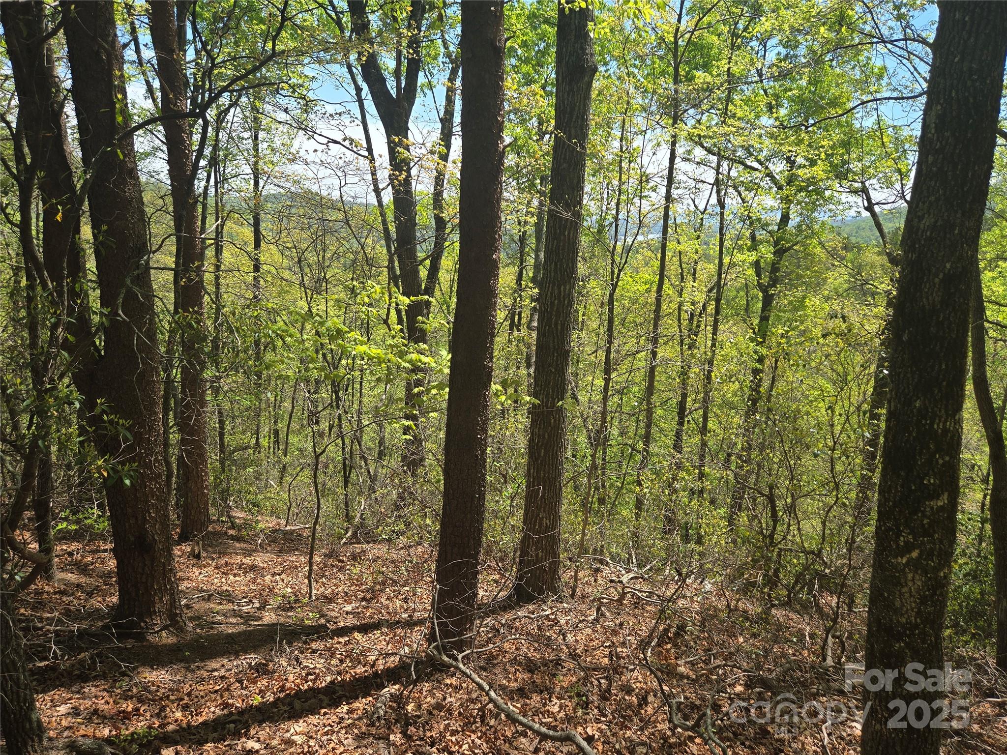 Lot 114 Summit Court Lake Lure NC 28746