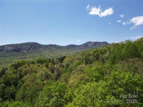 Lot 114 Summit Court Lake Lure NC 28746