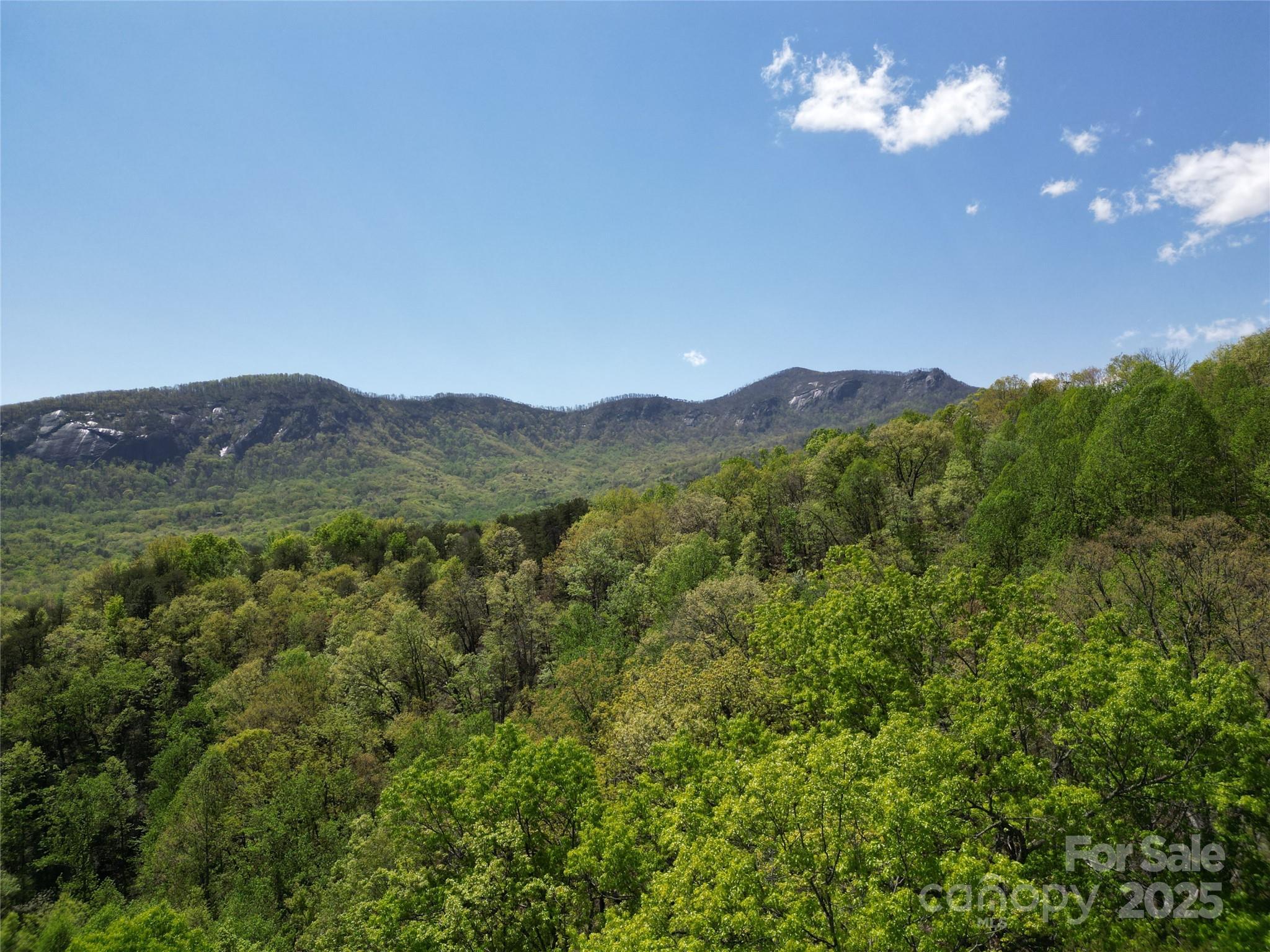 Lot 114 Summit Court Lake Lure NC 28746