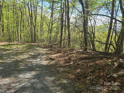 Lot 114 Summit Court Lake Lure NC 28746