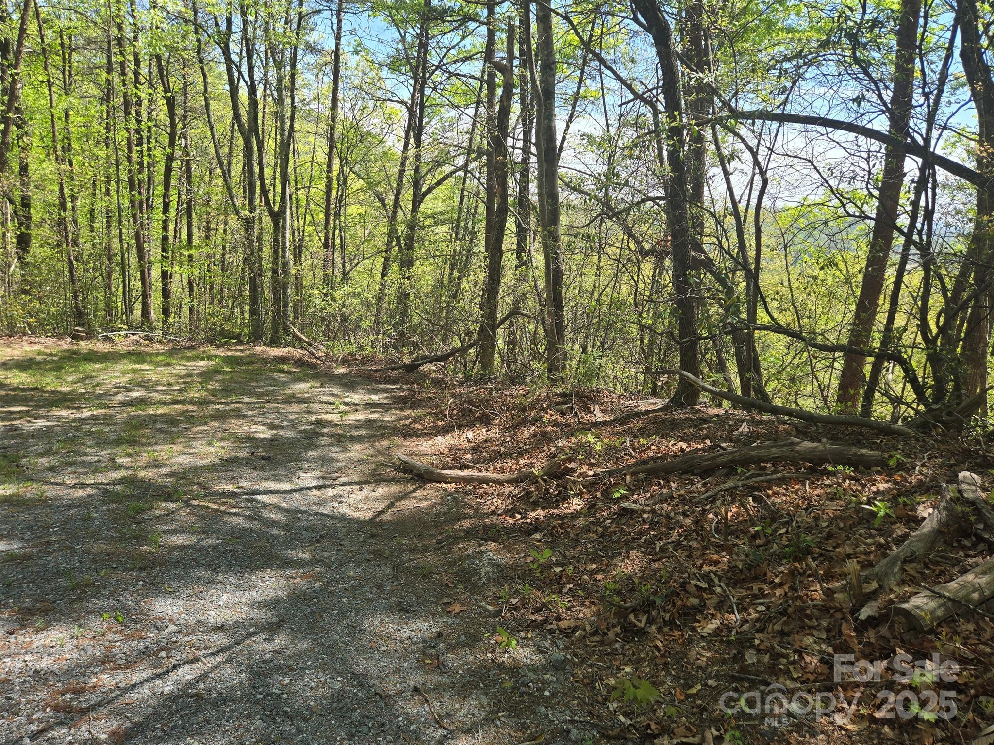 Lot 114 Summit Court Lake Lure NC 28746