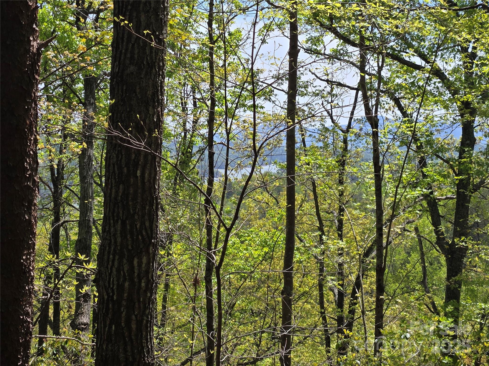 Lot 114 Summit Court Lake Lure NC 28746