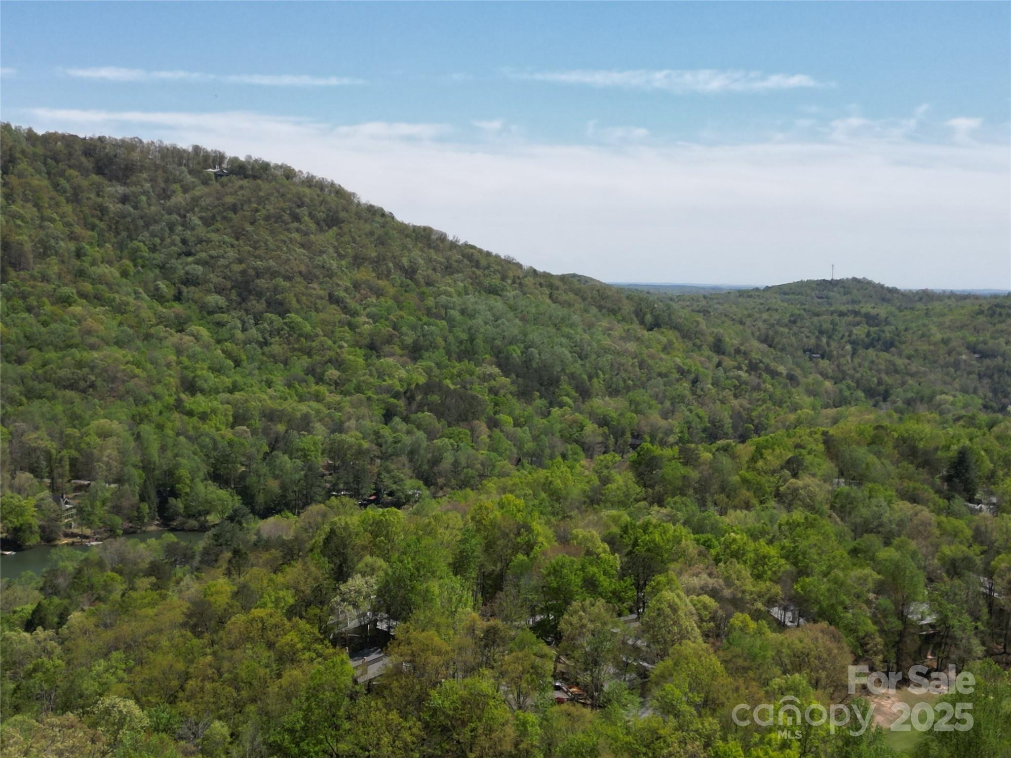 Lot 114 Summit Court Lake Lure NC 28746