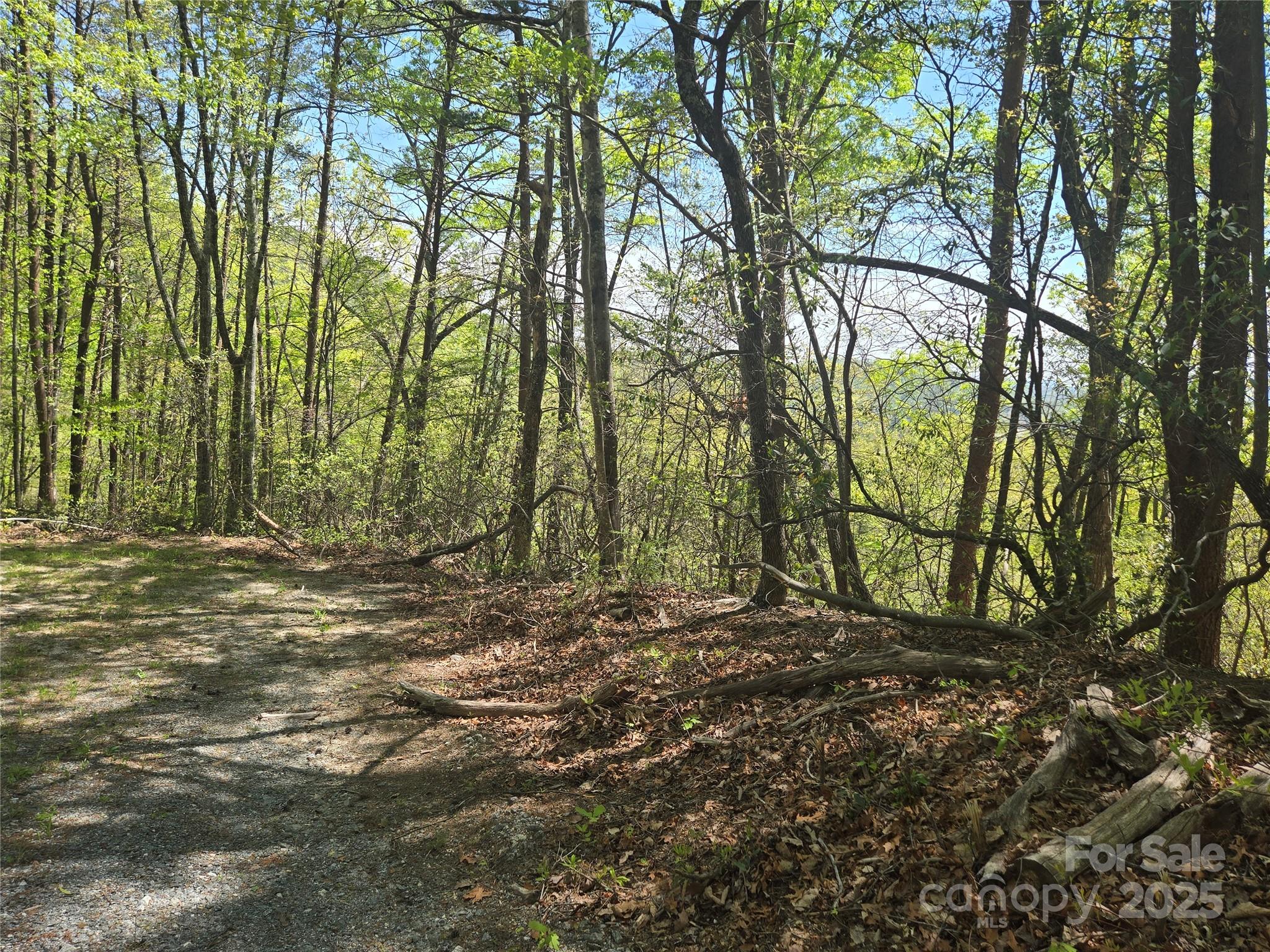 Lot 114 Summit Court Lake Lure NC 28746
