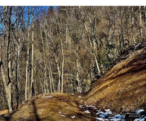 3837 Plott Balsam Road Maggie Valley NC 28779