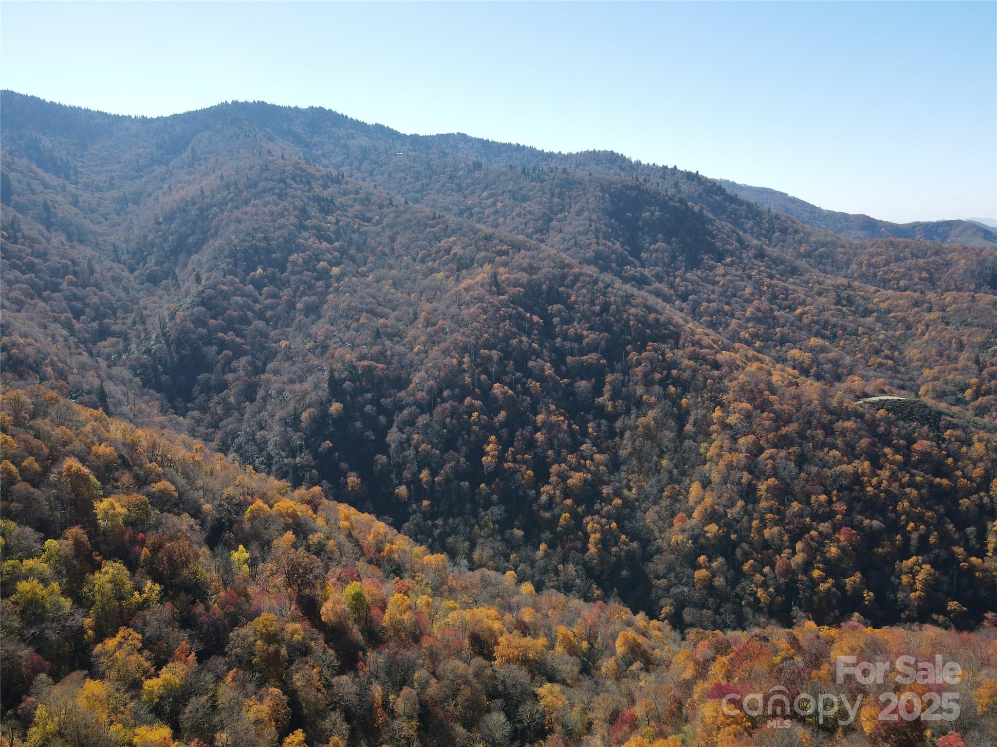 3837 Plott Balsam Road Maggie Valley NC 28779