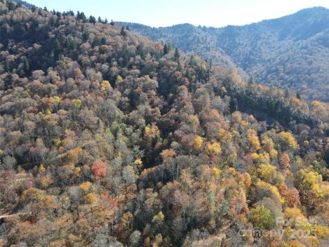 3837 Plott Balsam Road Maggie Valley NC 28779