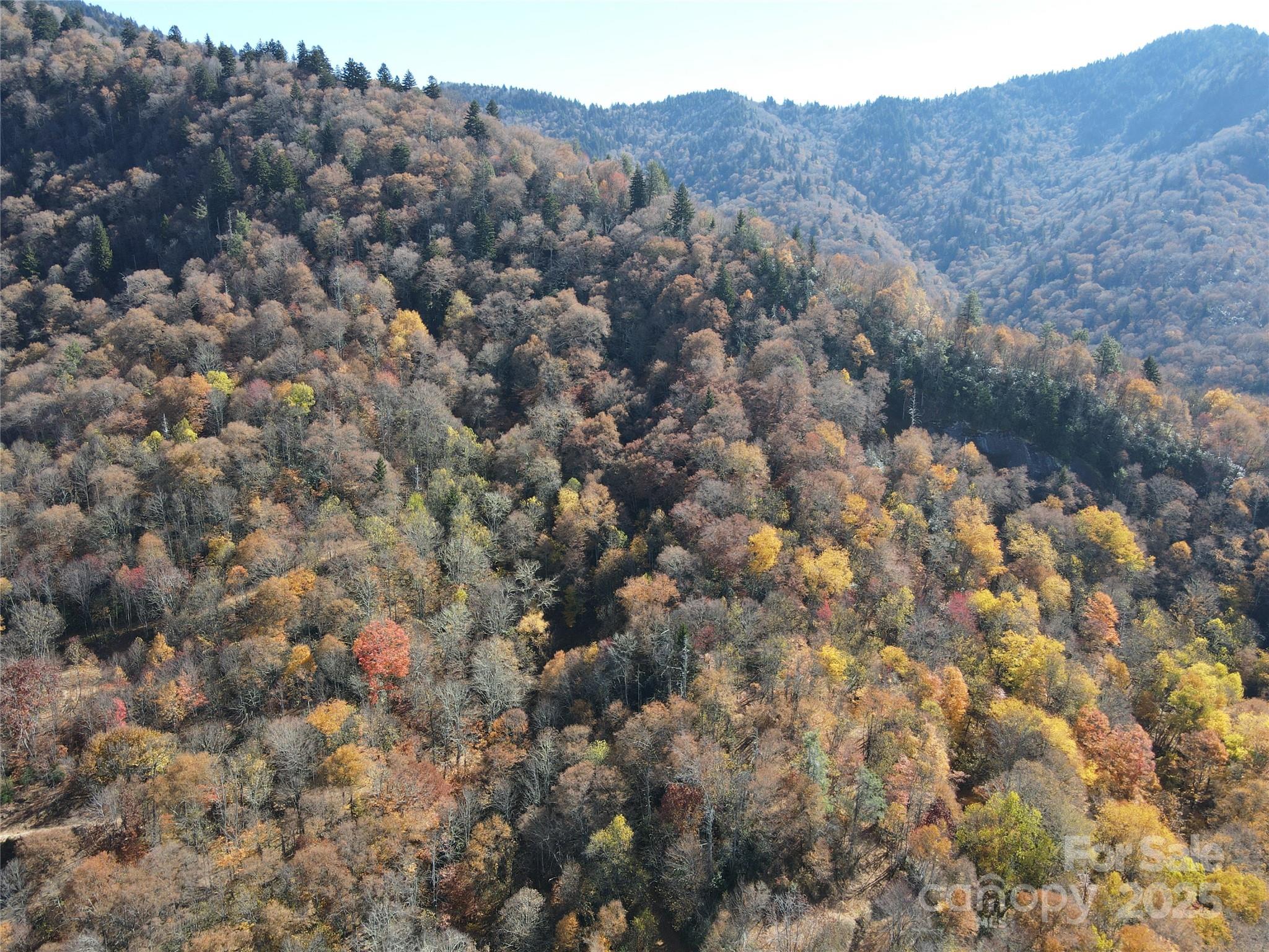 3837 Plott Balsam Road Maggie Valley NC 28779