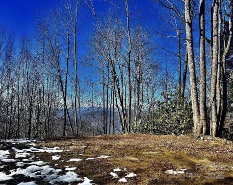3837 Plott Balsam Road Maggie Valley NC 28779