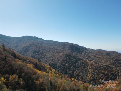 3837 Plott Balsam Road Maggie Valley NC 28779