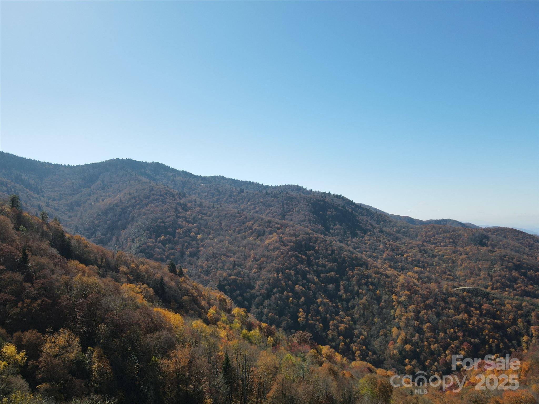 3837 Plott Balsam Road Maggie Valley NC 28779