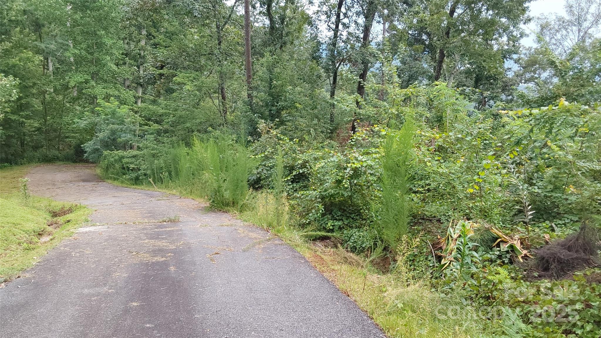 0 Brighton Drive Bostic NC 28018