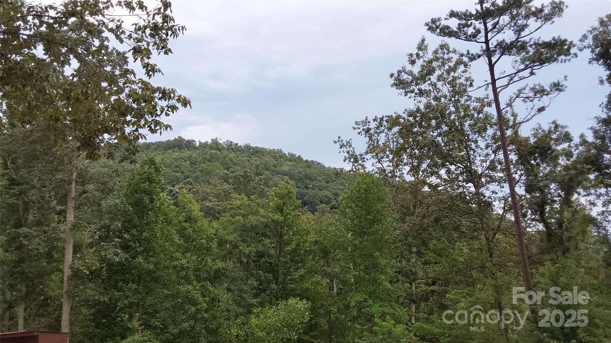 0 Brighton Drive Bostic NC 28018