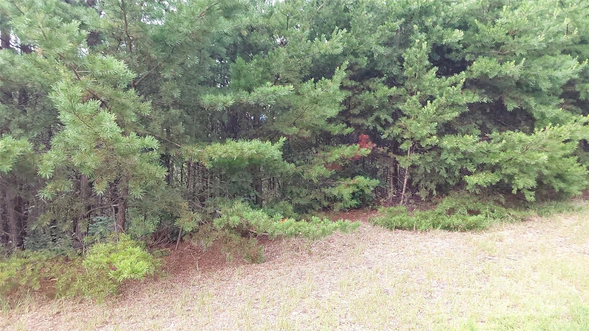 0 Brighton Drive Bostic NC 28018