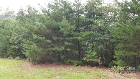 0 Brighton Drive Bostic NC 28018
