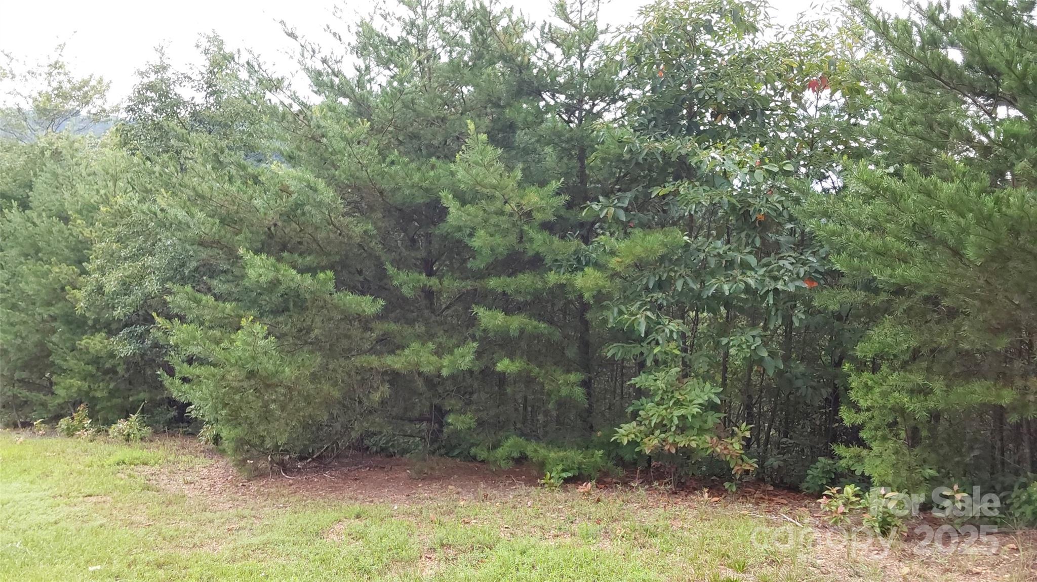 0 Brighton Drive Bostic NC 28018