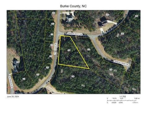 110 Twin Cove Drive Connelly Springs NC 28612