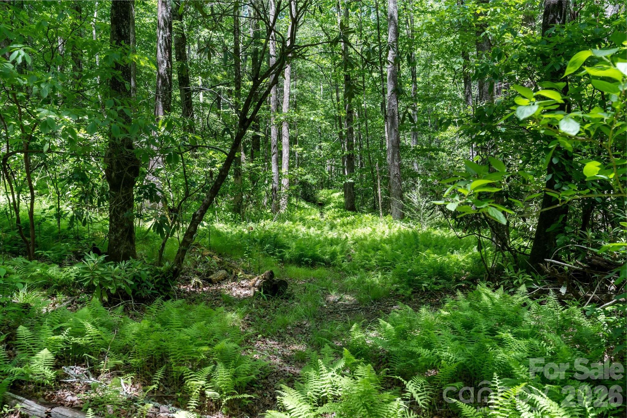 9999 W Club Boulevard Lake Toxaway NC 28747