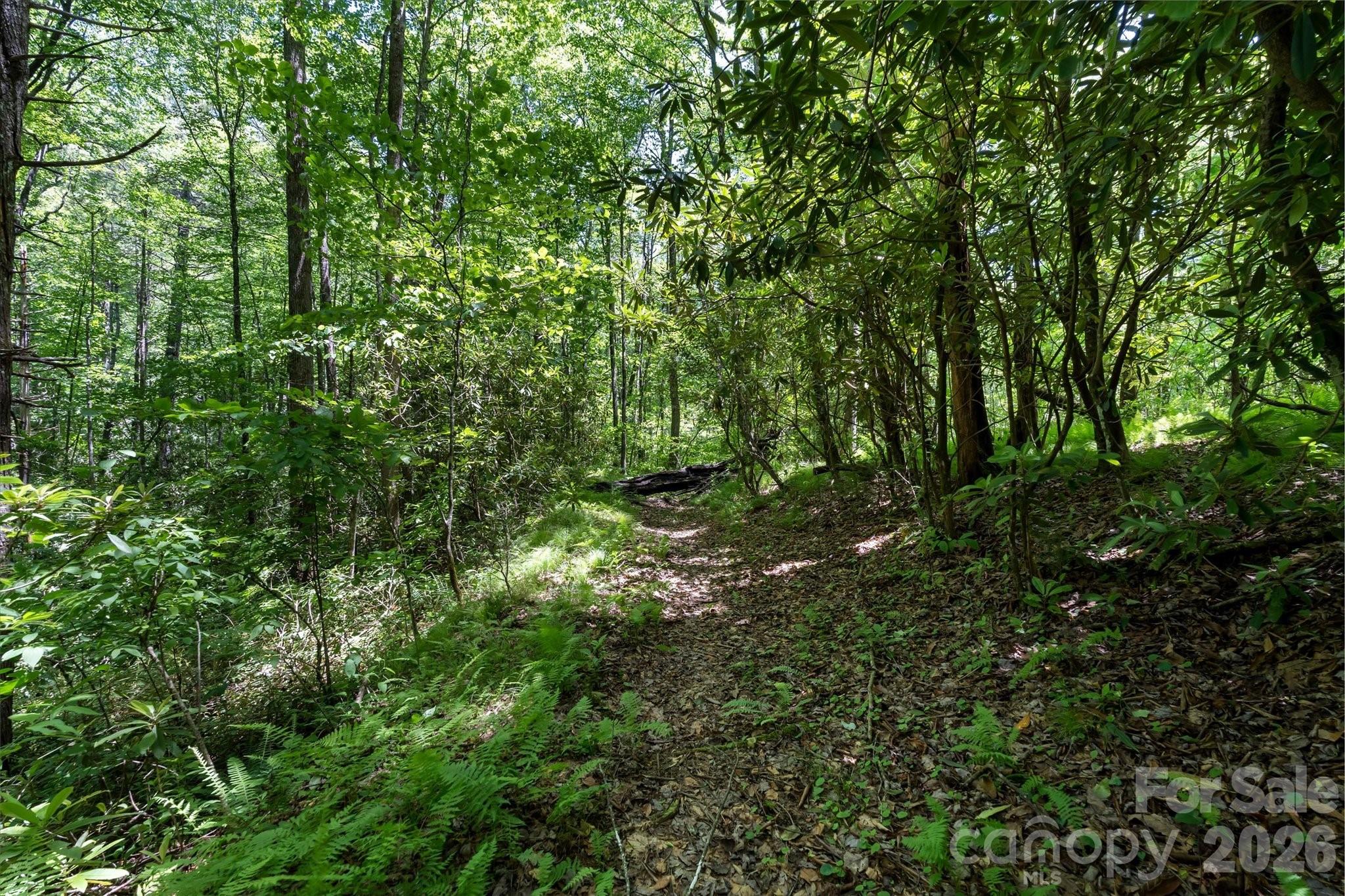 9999 W Club Boulevard Lake Toxaway NC 28747
