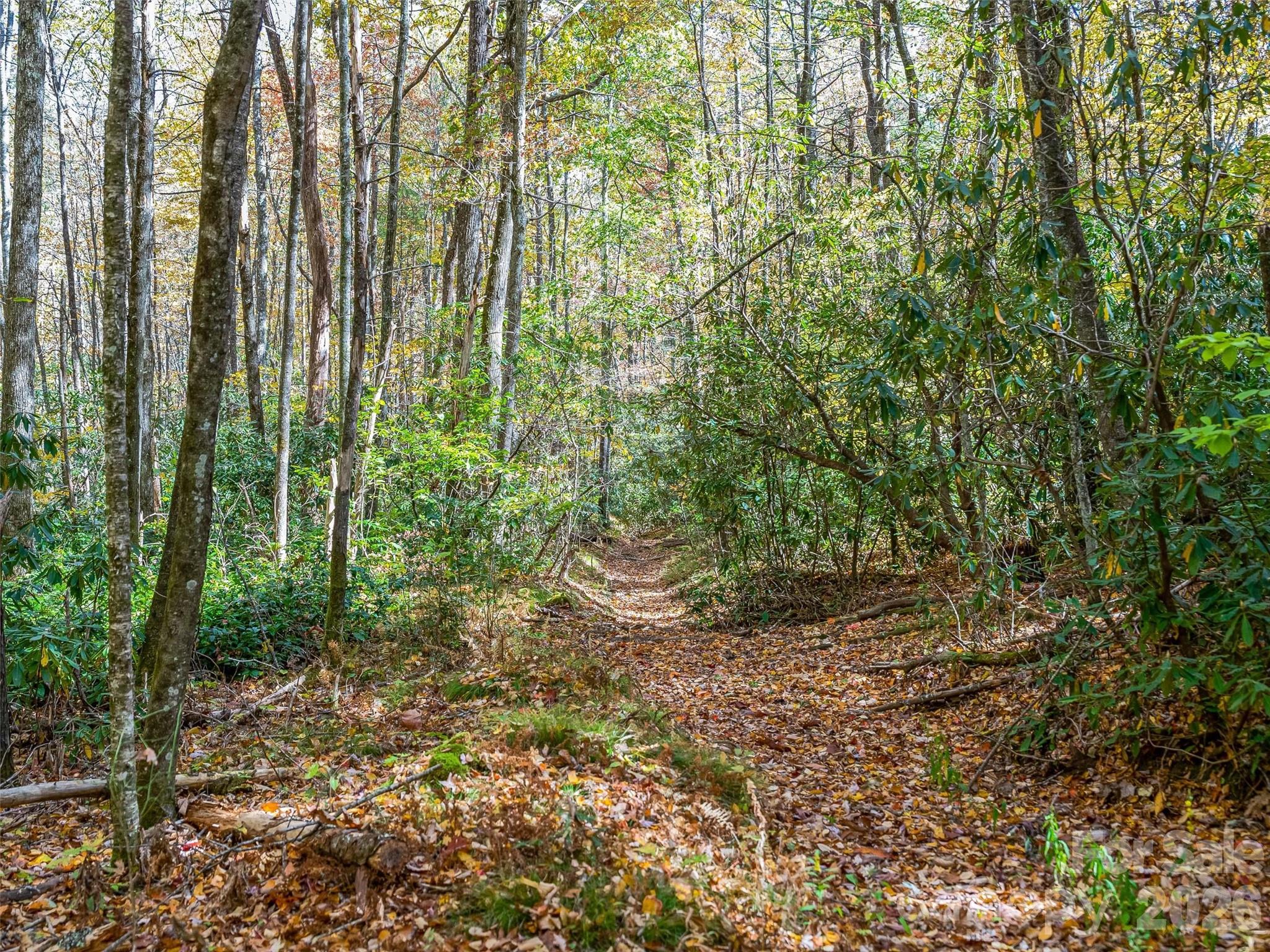 9999 W Club Boulevard Lake Toxaway NC 28747