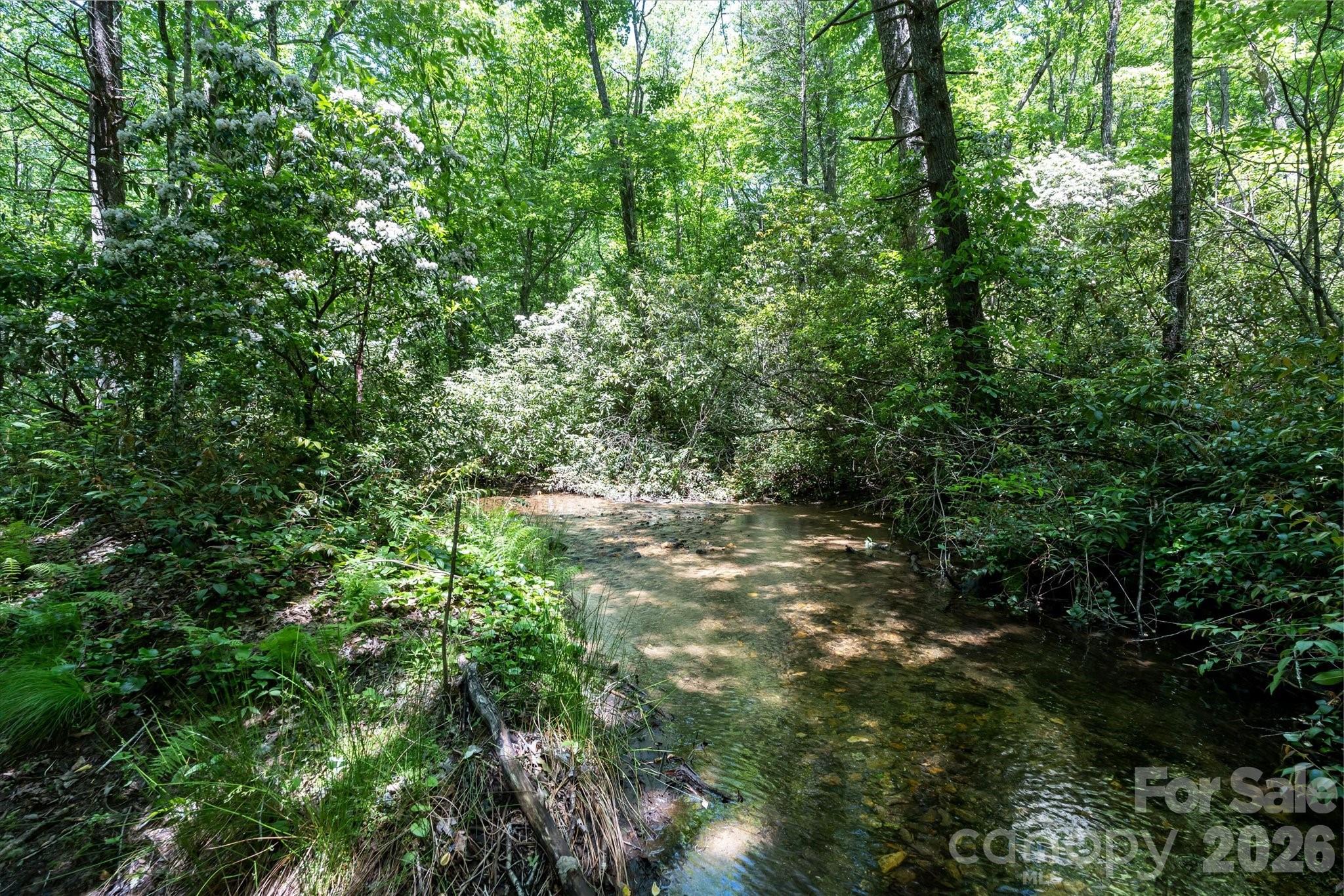 9999 W Club Boulevard Lake Toxaway NC 28747
