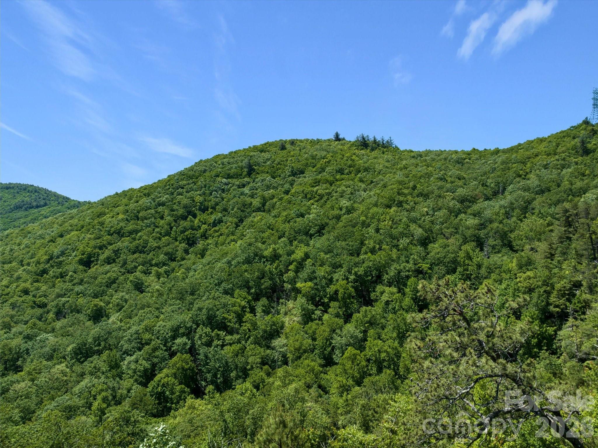 9999 W Club Boulevard Lake Toxaway NC 28747